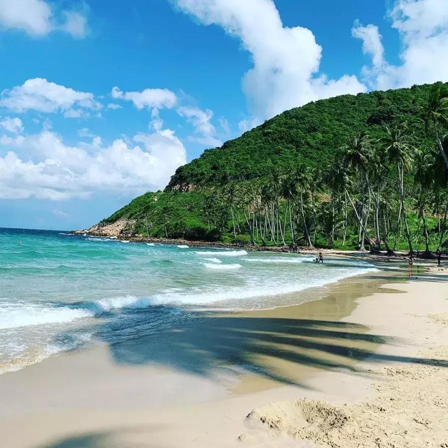 越南十大景点排名榜前十名,盘点越南各个城市