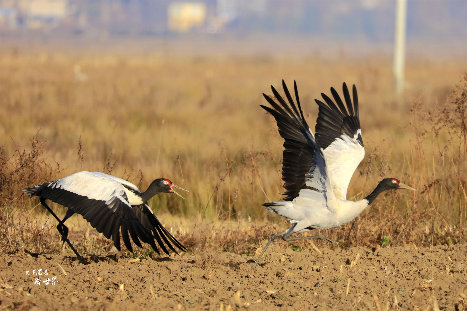 贵州是个神秘的地方,贵州这个景点景色优美你去过了吗