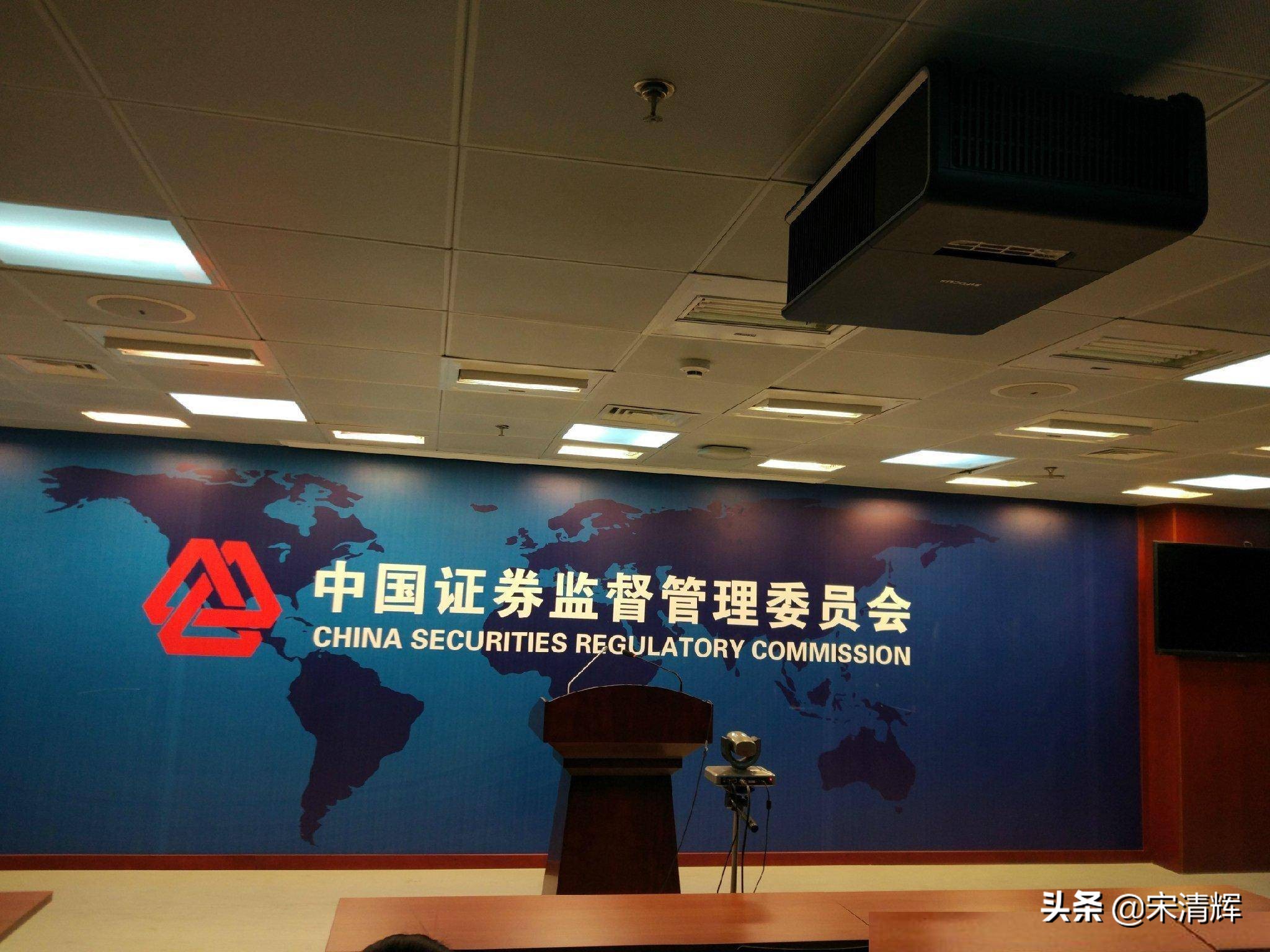 宋清辉炒作问题,宋清辉经济学家现状