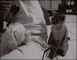 一定要和对象买情侣装,不和对方买情侣装