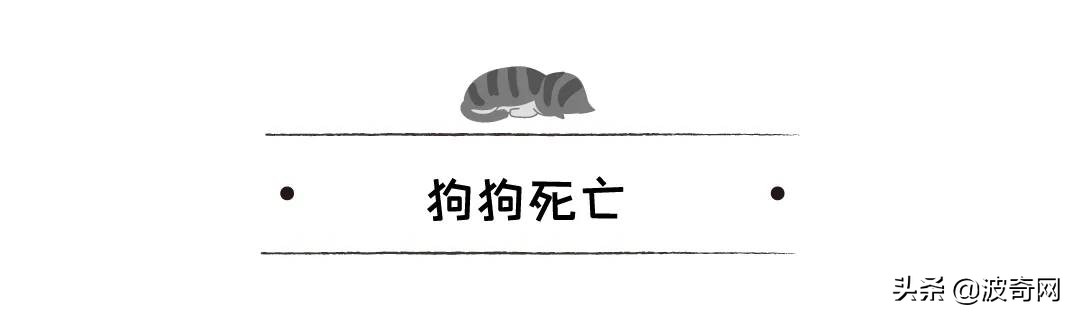 不喂狗会复位吗,不喂狗的下场