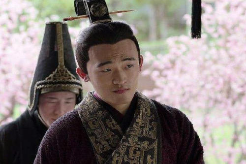 晋朝的开创者司马炎，为何选个痴呆儿做太子？难道他没看出来吗？