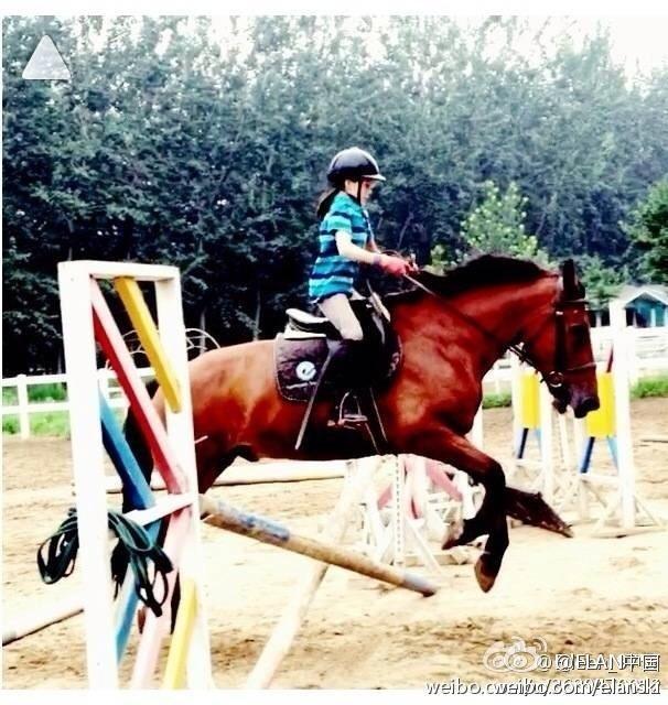 鐖芥枃澶╂墠瀛﹂湼,鐖芥枃灏忚澶╂墠瀛﹂湼