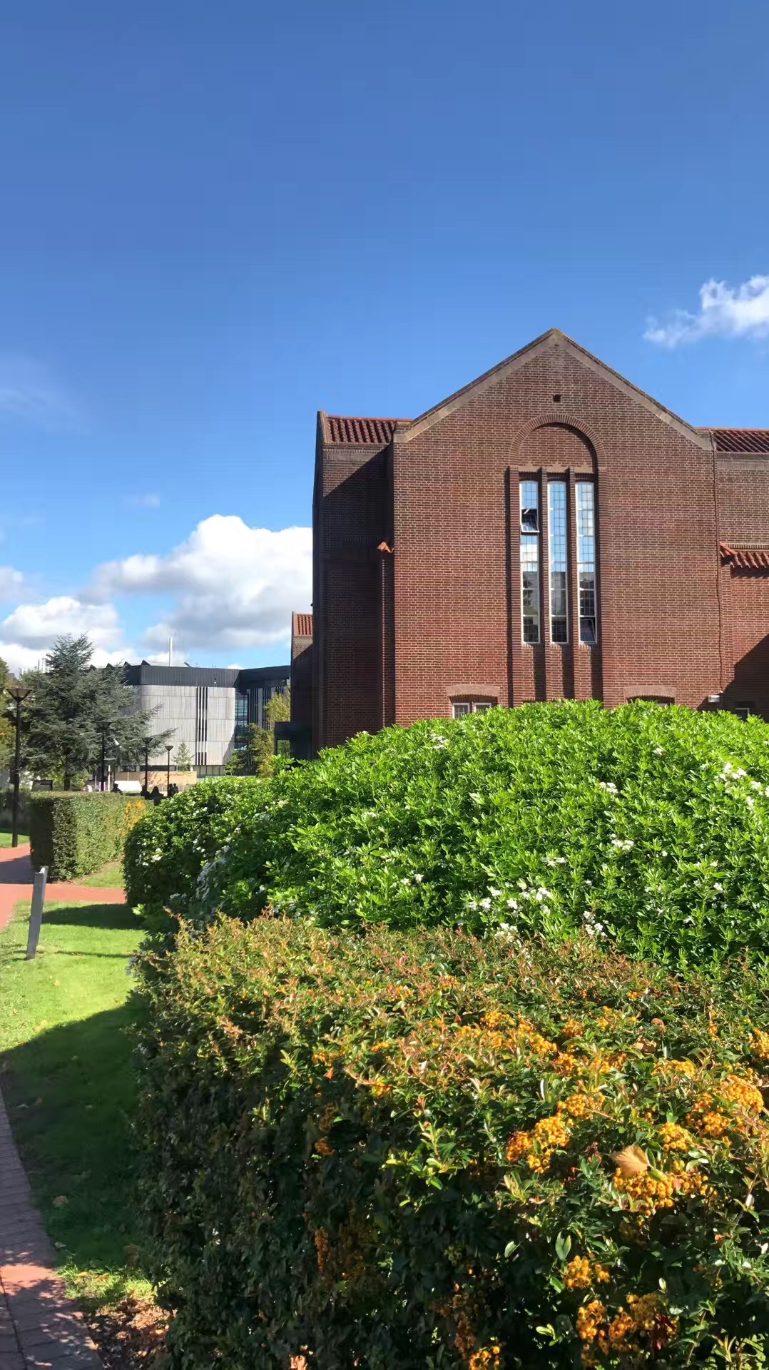 英国南安普顿大学中国留学生申请越来越多,去南安普顿大学怎么样