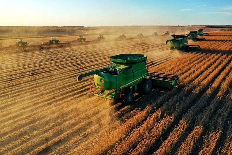 用大米算资产,50两白银在古代的购买力