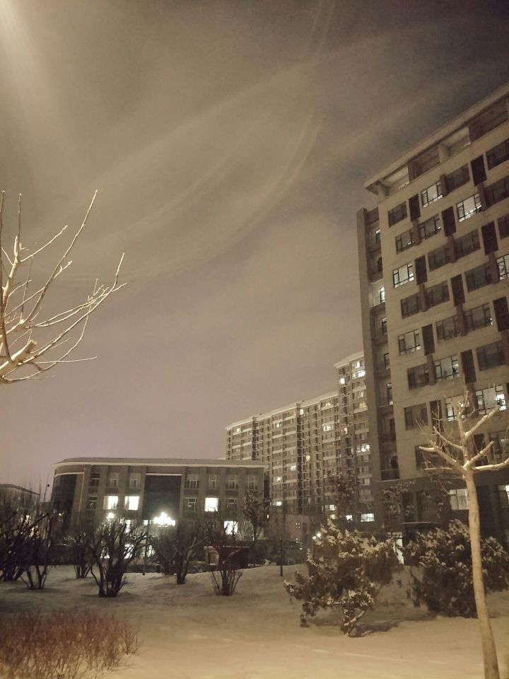 河南财经高校,河南财经政法大学11系