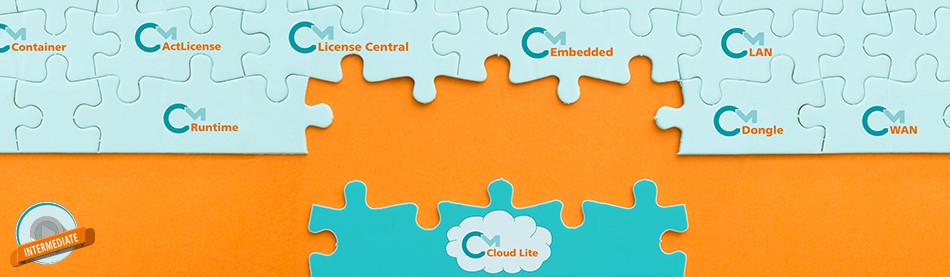 加密狗能加密什么,加密狗的使用价值是什么