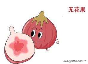 这几种治疗白癜风的偏方你试过没,得了白癜风用什么偏方效果最好