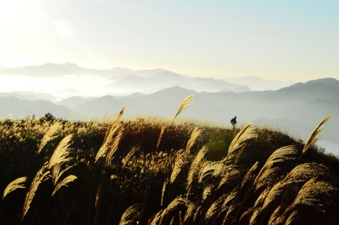 如何直面自己的恐惧,怎么直面恐惧