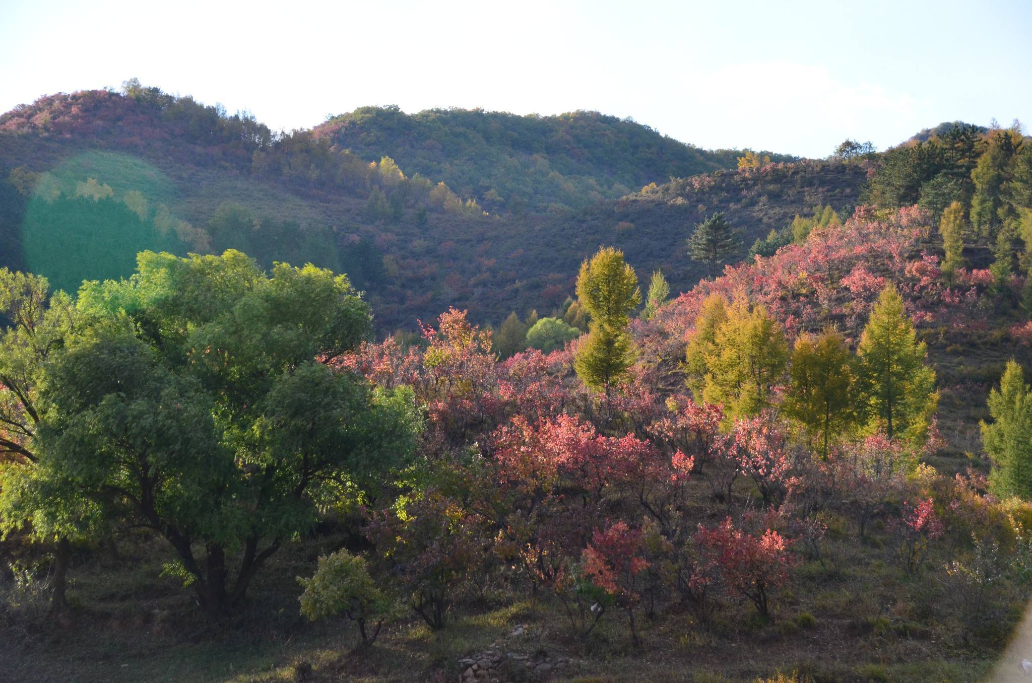 河北省张家口市合村并镇,张家口市在中国城市排名