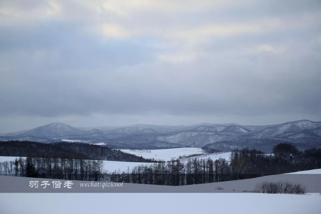 老实说，这一趟北海道就是为了拍好看的照片去的