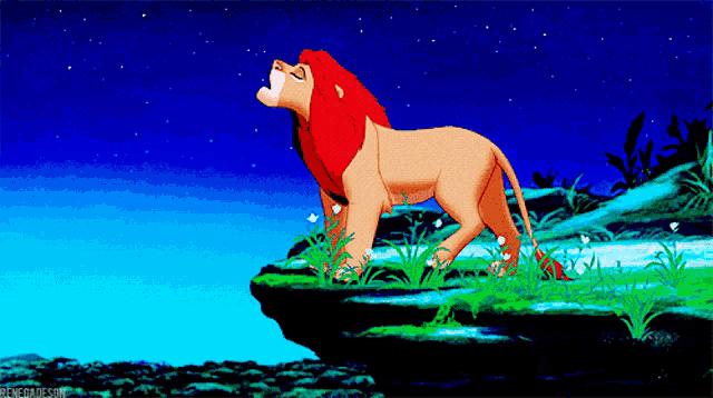 母狮一天发情40次,还追着公狮咬蛋蛋?根本不是这样啊....