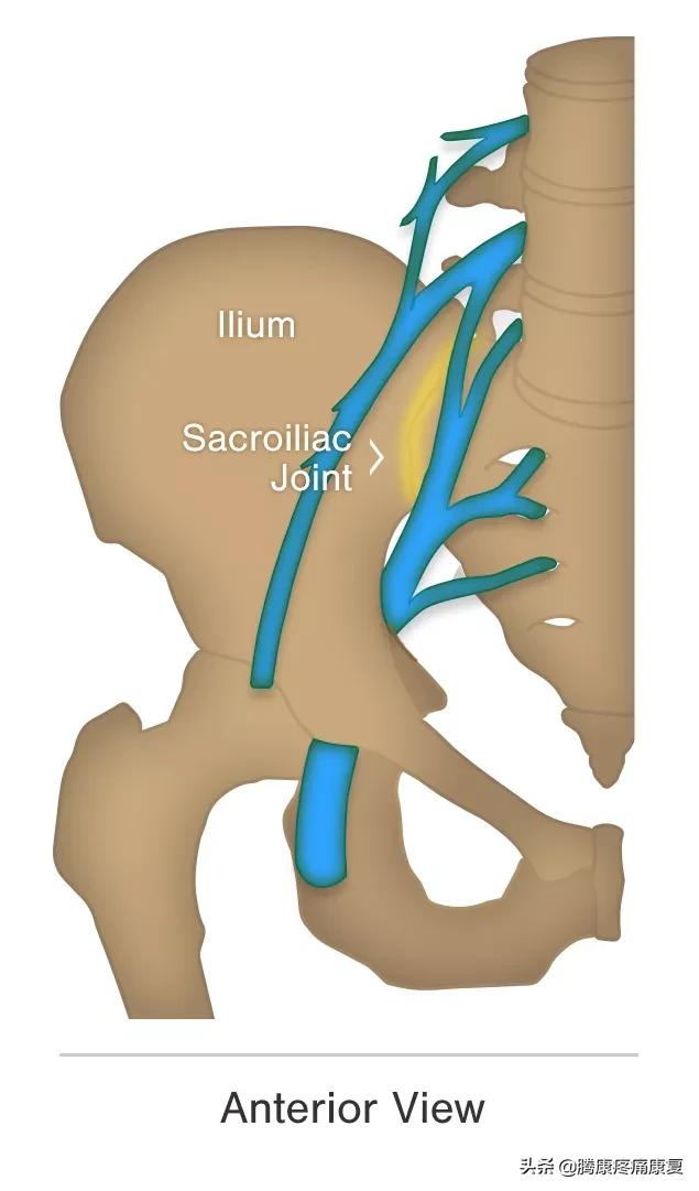 骶髂关节疼痛一招解决,缓解骶髂关节疼痛的六个训练动作