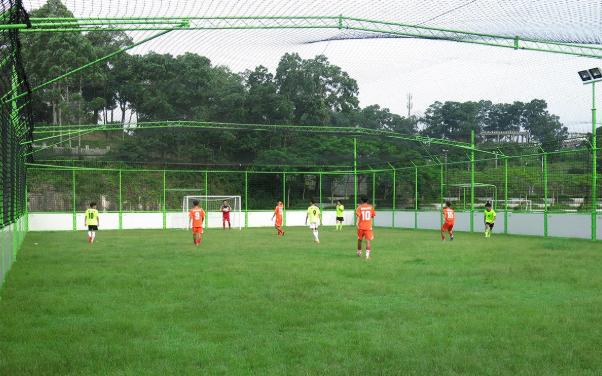 小细节大文明,小细节大文明视频
