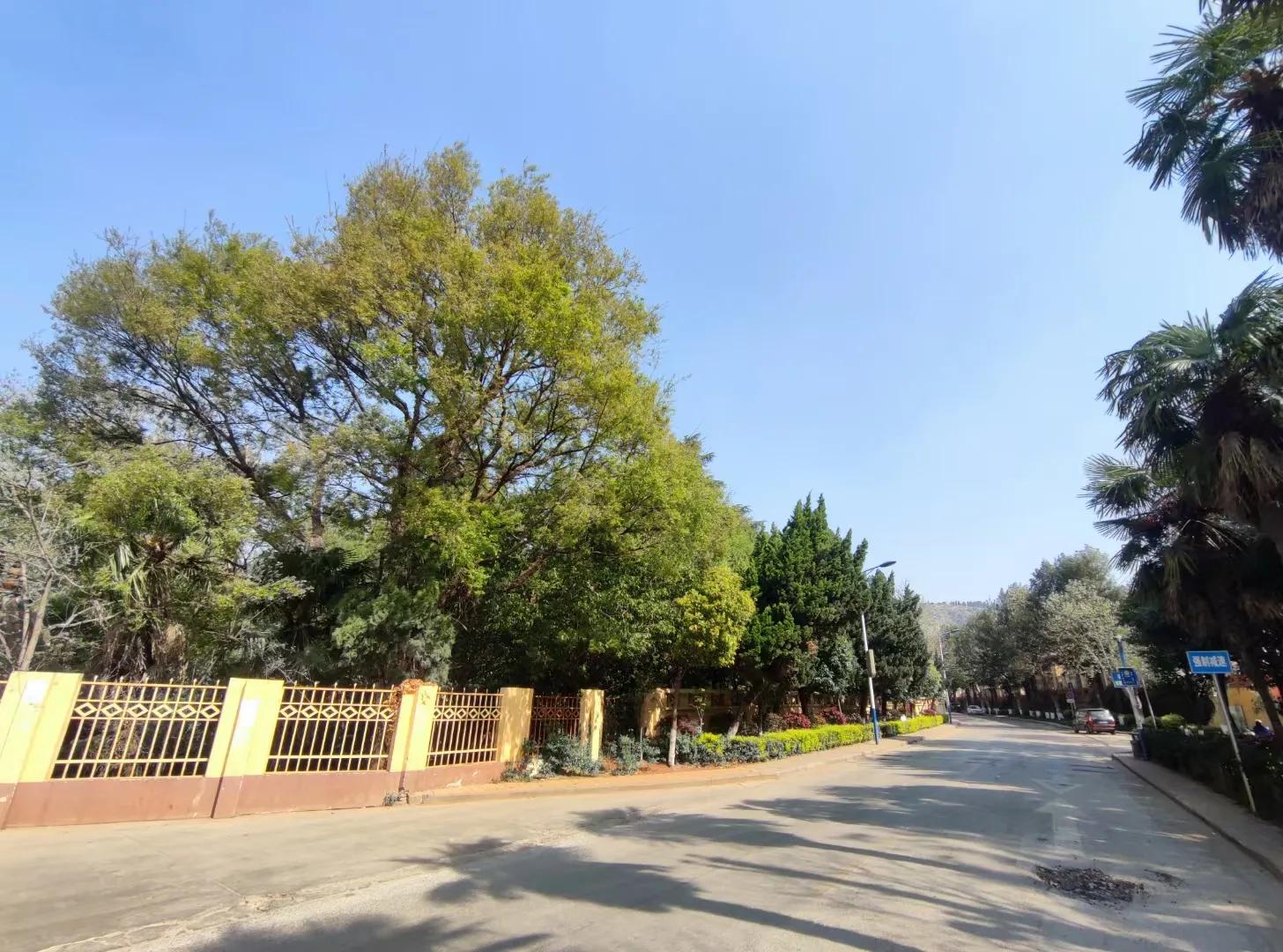 昆明的老奶米线,昆明老奶米线