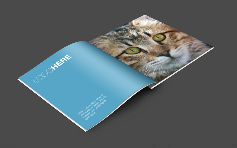 一本画册制作印刷多少钱,画册印刷最实用的方法