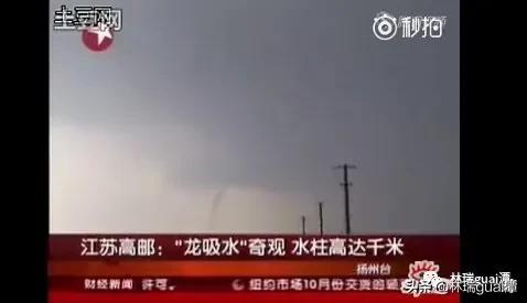 龙真实存在吗天涯论坛,龙真实存在的神评论