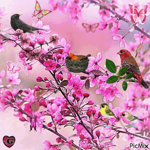 星光璀璨歌曲联唱,星光璀璨诗朗诵