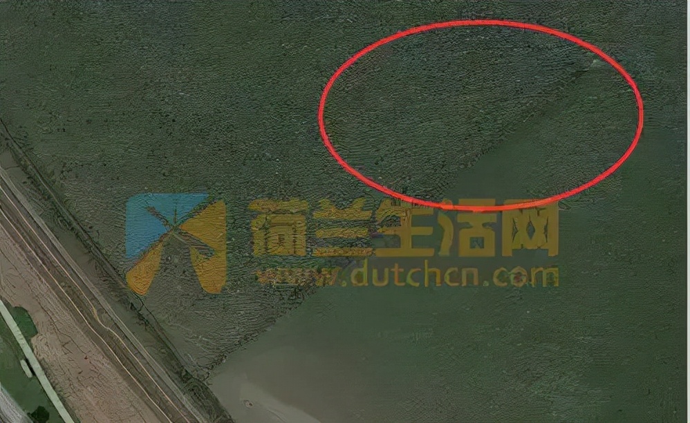 比利时大闸蟹泛滥怎么回事,来聊聊野生海鲜