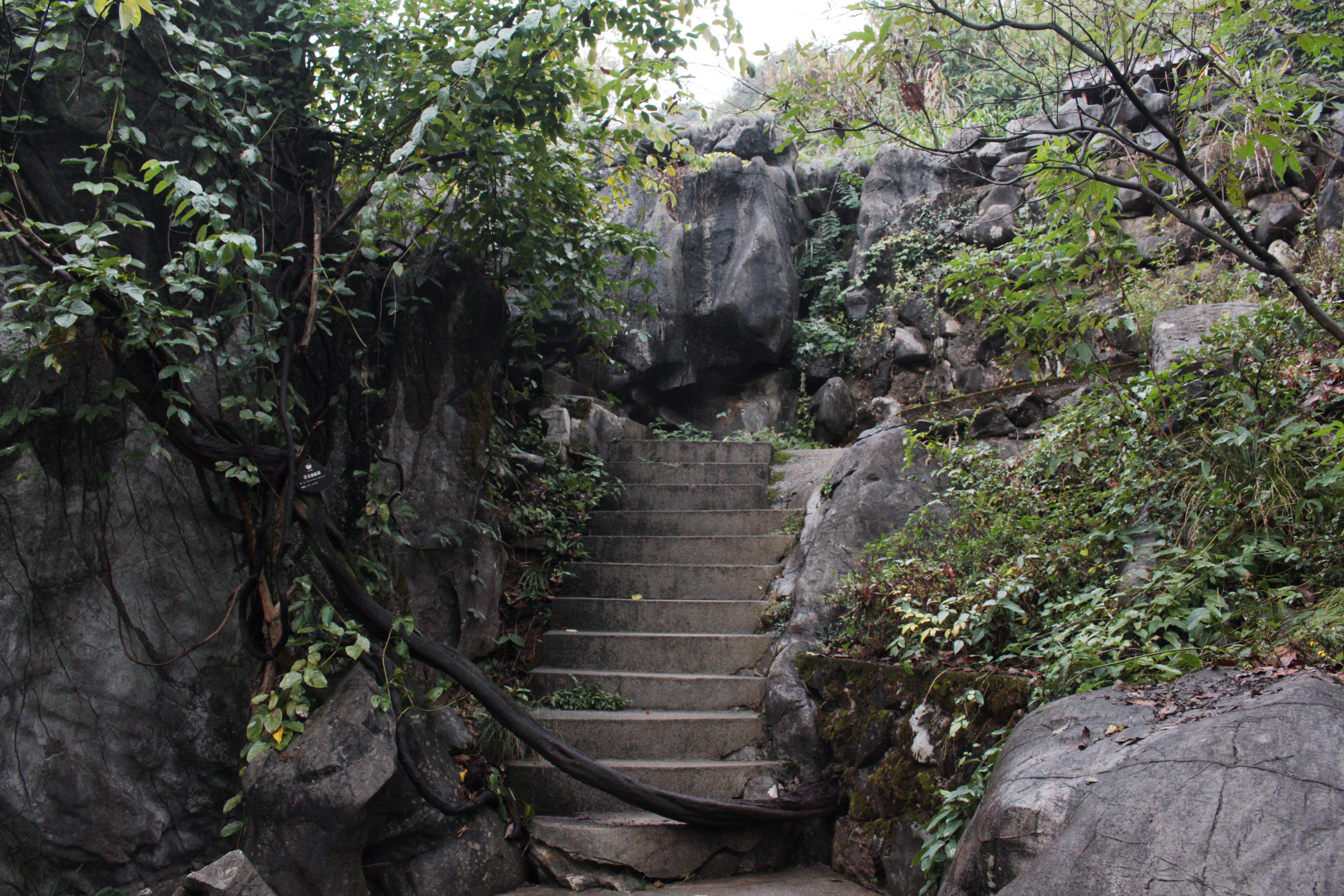 现在浙江最火的一个免费景点,浙西景区