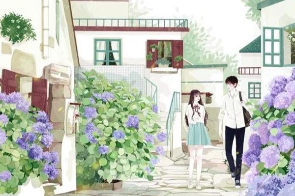 2020最好看的十本言情小说,5本新完结高分言情小说