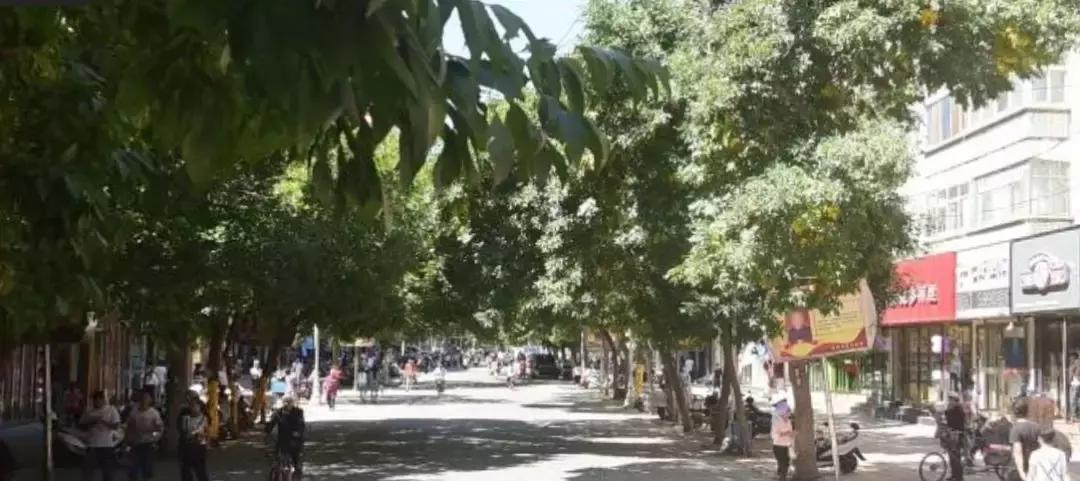 吴忠吃的值得打卡的地方,银川吴忠美食排行榜前十名