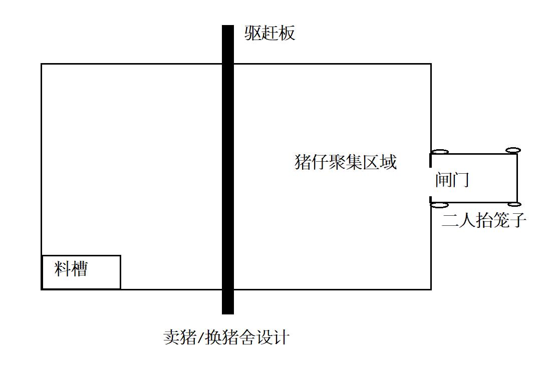 养猪场怎么建又省钱又使用,手把手教你建养猪场养猪