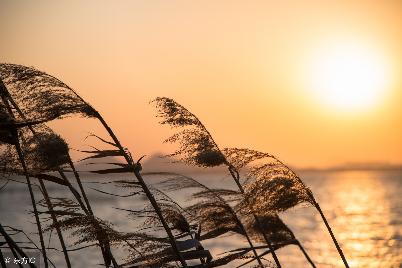疼爱女生的方法70种,疼爱女友方法