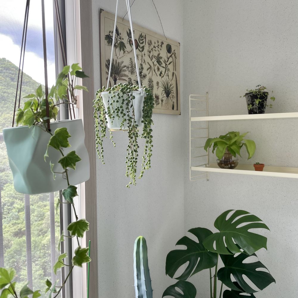 韩国小夫妻精致生活,韩国夫妇平凡生活