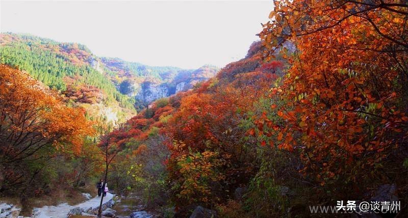 青州之两岸原声赞不住轻舟可看万重山