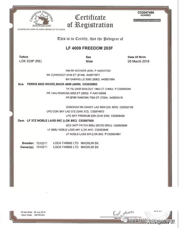 加拿大肉牛产业发展动态,加拿大肉牛发展