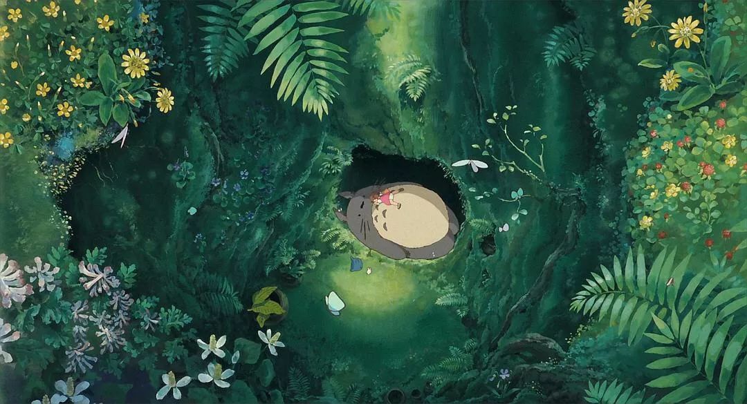 怎样才能和龙猫增进感情,如何跟龙猫快速增进感情