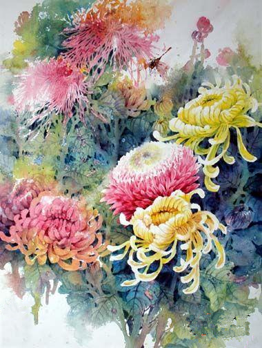 菊花的品格和精神,菊花的美丽什么意思