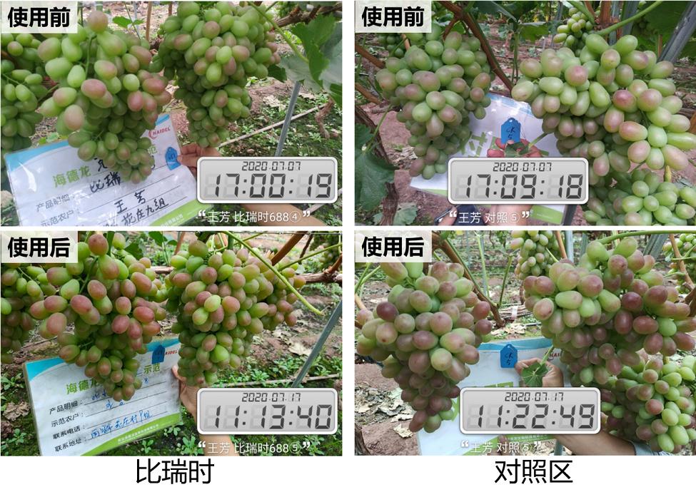 拒绝激素催熟着色，这才是转*界色**的传奇