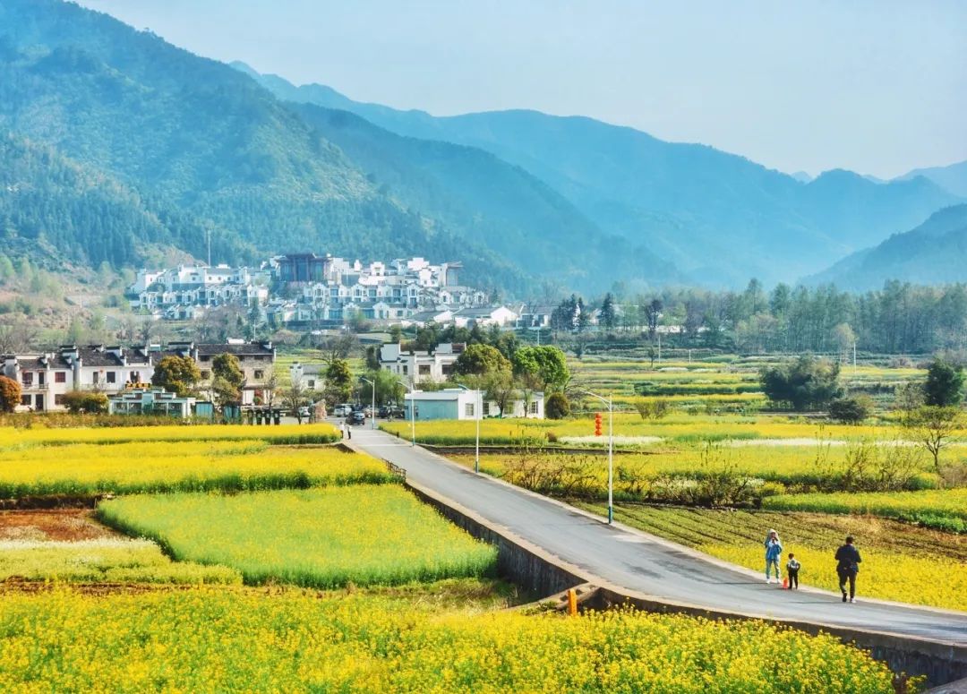 50句经典宋诗名句一定要读一次,带富字的七言宋诗名句