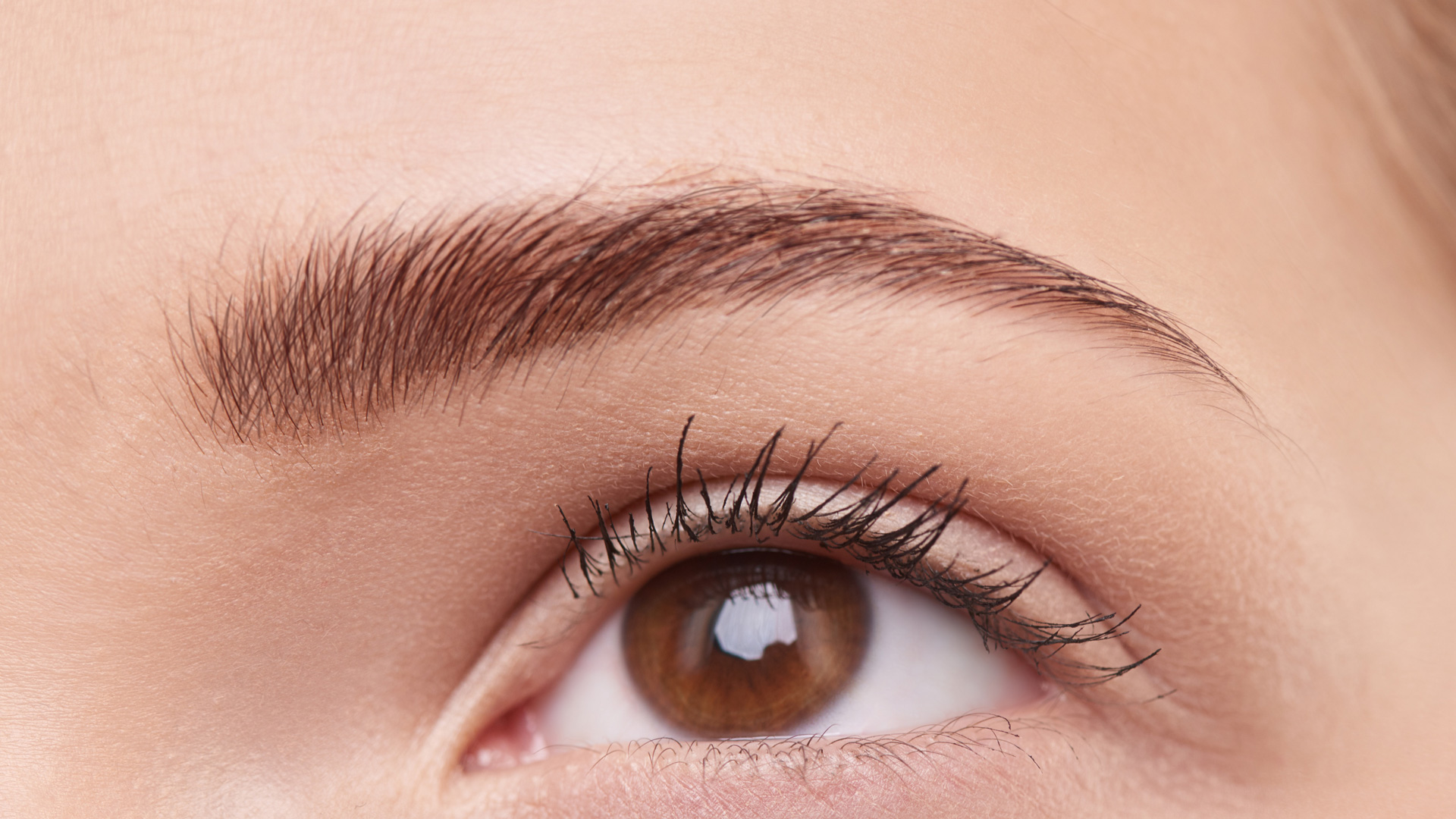 ps修眉教程初学者慢教程,ps眉毛修图