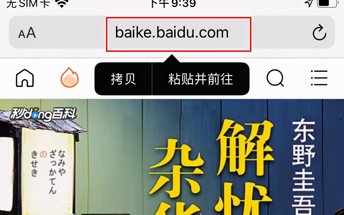 iphone的safari浏览器使用方法,iphone的safari浏览器是多少版本