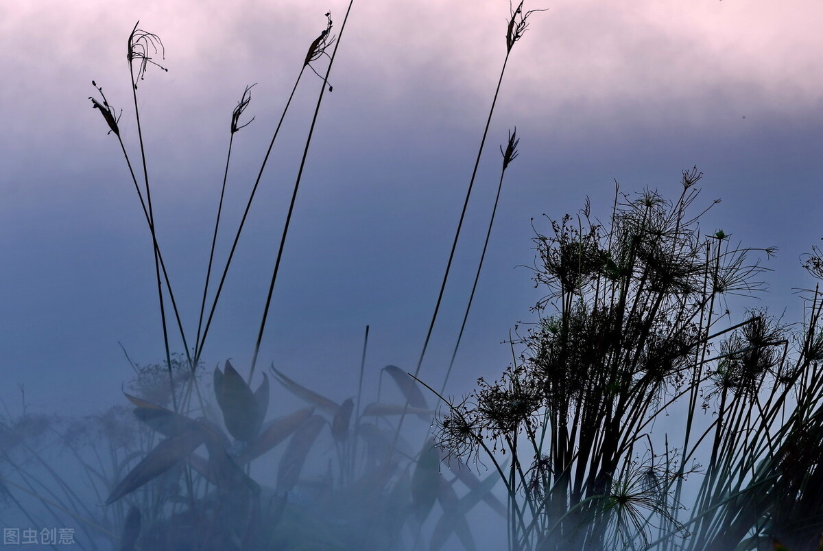 父母老了难相处怎么沟通,跟父母关系越来越差无法沟通