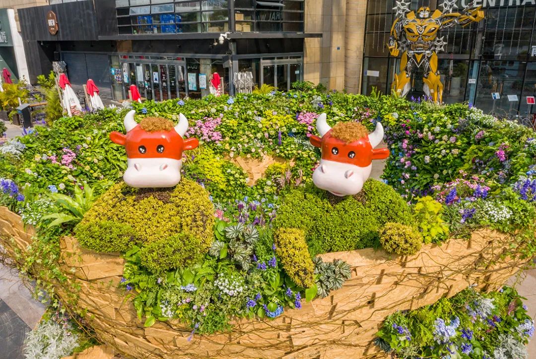 深圳花展2019年12月时间表,深圳第一场春天花展