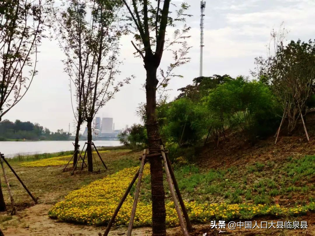 临泉县流鞍河规划,安徽临泉流鞍河在修么