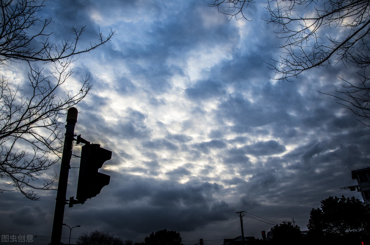几本超爽的肌肉流小说,拳拳到肉的感觉真的是太爽了,书荒别错过