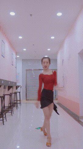 拉丁舞摩登舞两大系列多少个舞种,拉丁舞的两个代表舞种