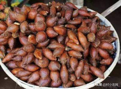 村小农,村小农网