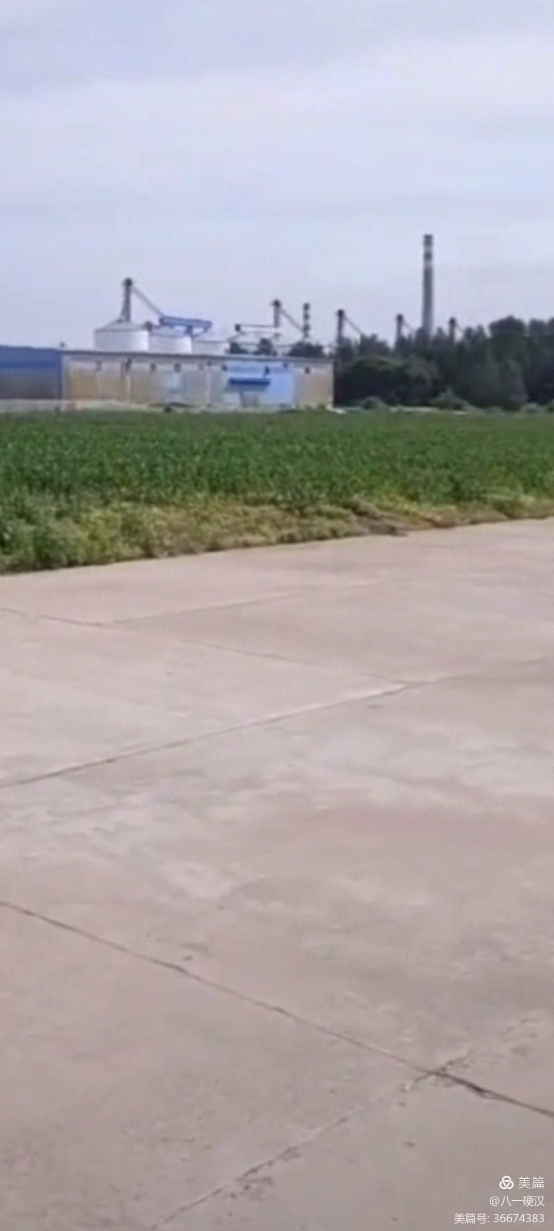 天马驾校在哪里,天马驾校服务中心