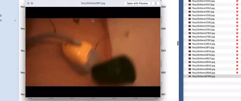 变态虐待狂为出名，竟把杀人视频po上网