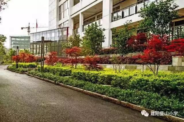 南平市建阳区曼山小学,建阳曼山小学