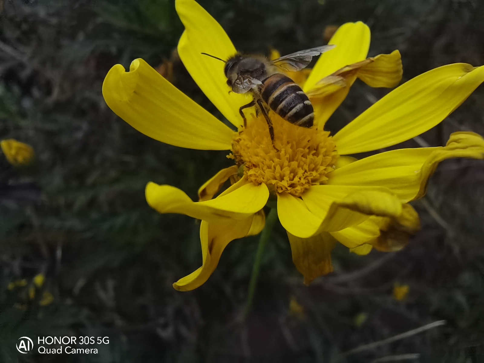 荣耀30s有没有4g和5g的网络测速,荣耀30s的5g功能优缺点