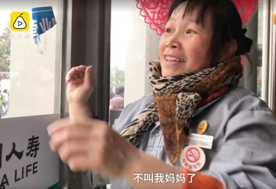 学养天鹅的技术,学养天鹅技术