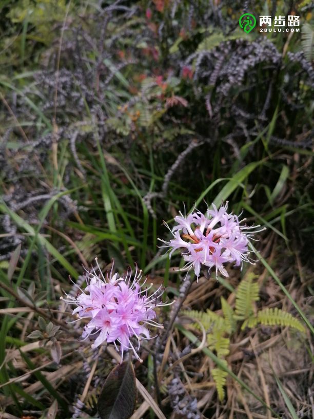 二天三夜邮轮游,两天三夜的海上旅行