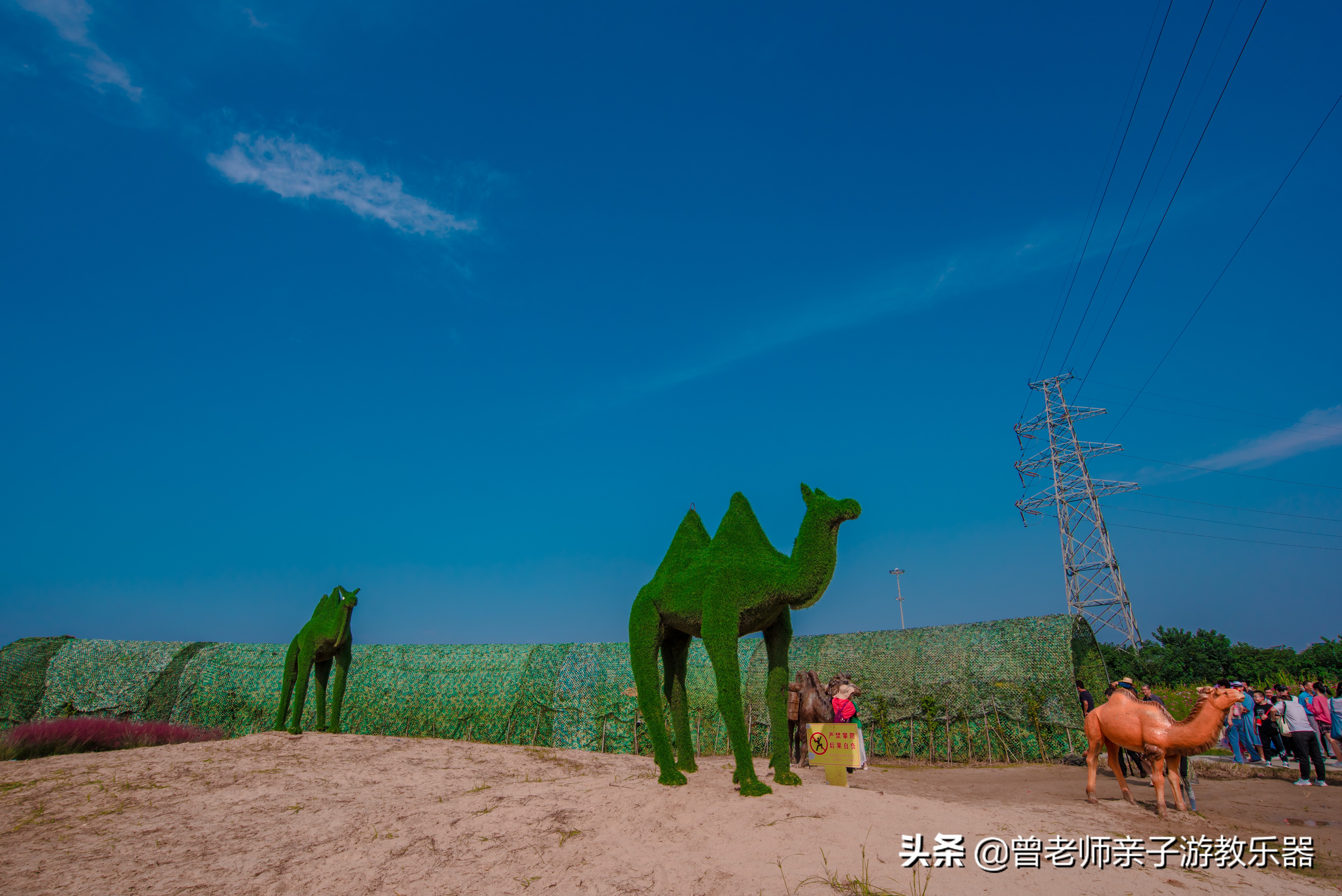 西安菊花节9.9元门票,爱菊菊花节怎么去